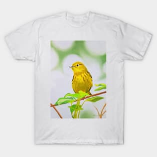 Yellow Warbler bird painting T-Shirt